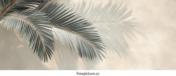 Elegant Palm Leaf Shadows on Beige Wall