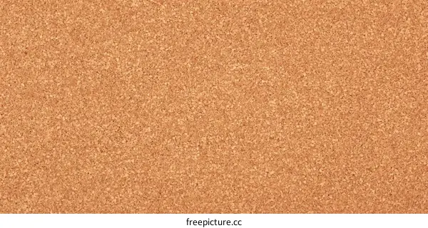 Corkboard Texture Background Image