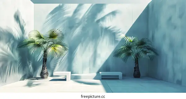 Minimalist Palm Trees with White Benches and Blue Wall