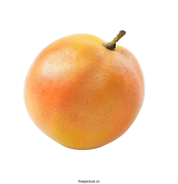 [Transparent Background PNG]Fresh Ripe Grapefruit Isolated on White Background