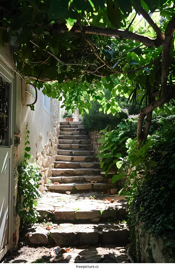 Stone steps surrounded by green plants