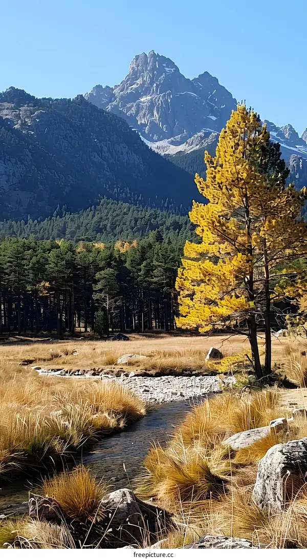 mountain stream in autumn forest with yellow tree
