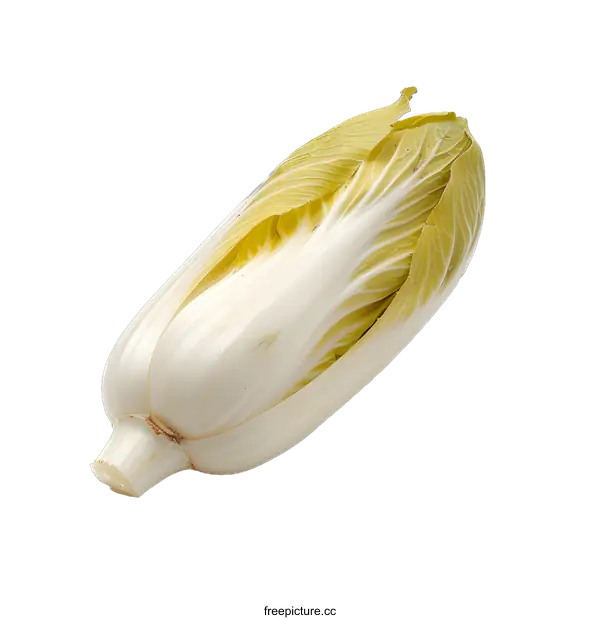 [Transparent Background PNG]Fresh Green Endive Isolated on White Background
