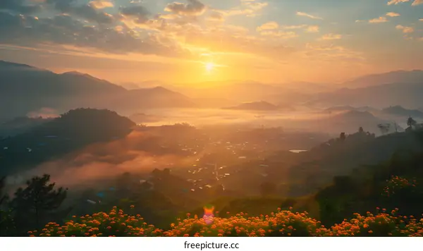 Sunrise over a valley with marigolds in the foreground