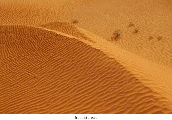 Desert Dune Texture Patterns
