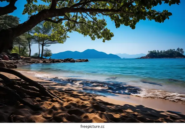 Tropical Beach with Green Trees and Blue Water