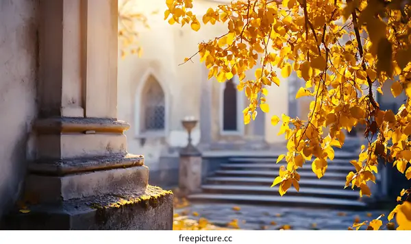 Autumn Leaves Hanging from a Tree Branch