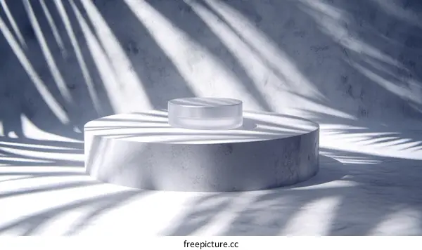 Modern Minimalist Cosmetic Product Display