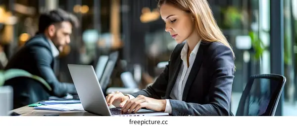 Business Woman Working On Laptop In Office