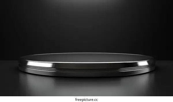 Modern Minimalist Metallic Product Display