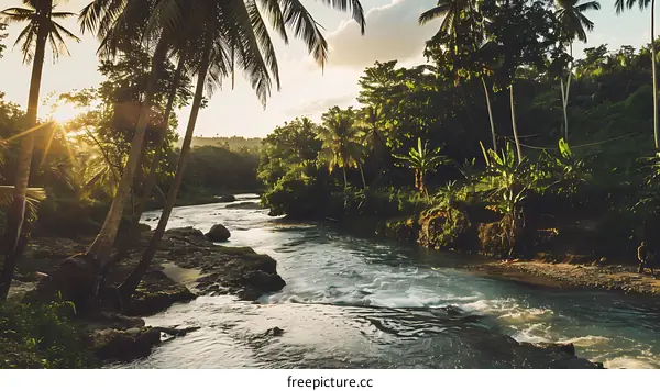 Tranquil River Scene with Palm Trees and Sunset
