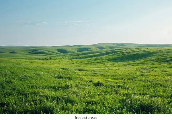 Green rolling hills under a blue sky