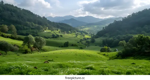 green valley in the mountains