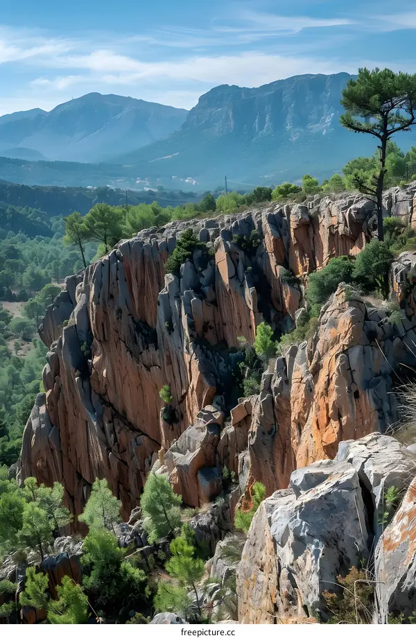 Rocky Mountain Landscape with Pine Trees