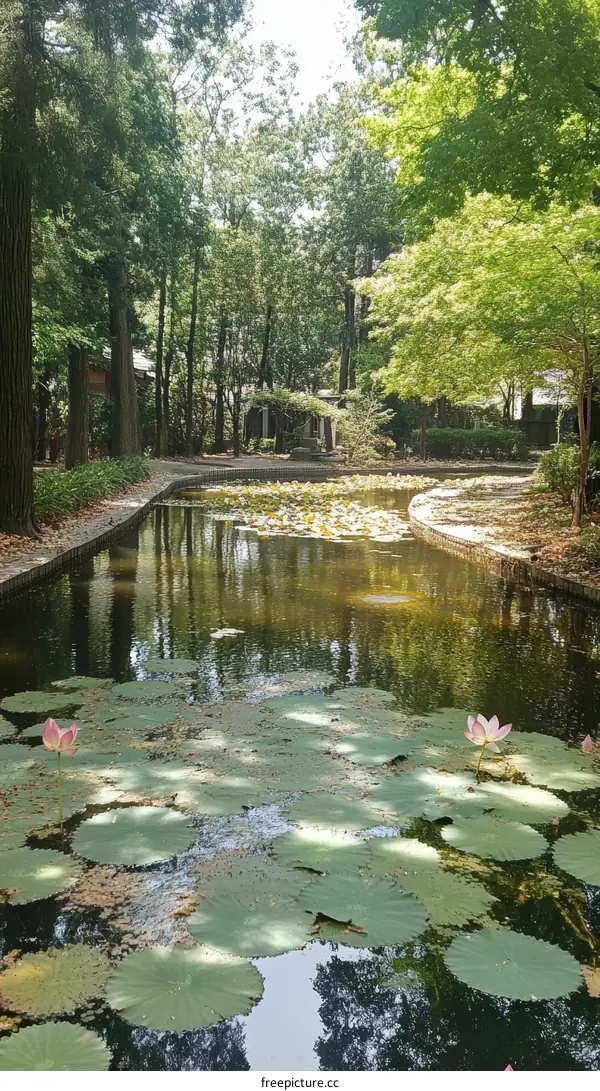 Serene Pond Landscape in a Lush Garden