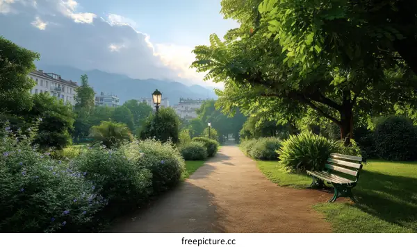 Morning Sunshine in the City Park