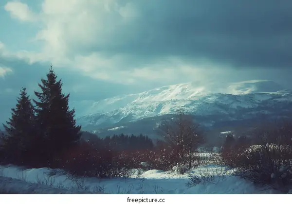 Winter Mountain Landscape with Snowy Peaks