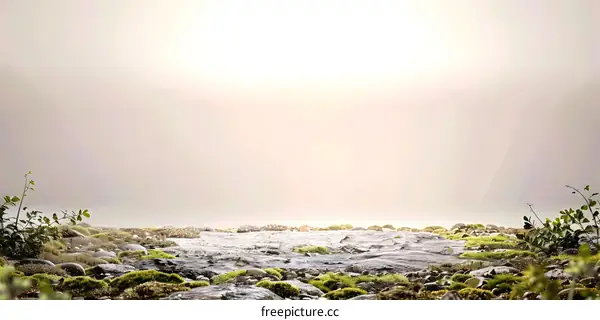 Misty Morning on a Rocky Path