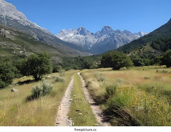 Rocky Trail through Mountain Valley