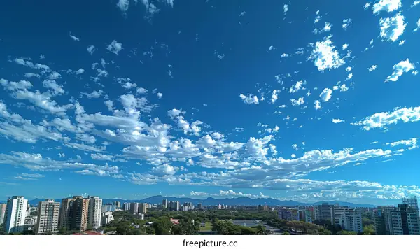 Blue sky with fluffy white clouds over a dense urban cityscape