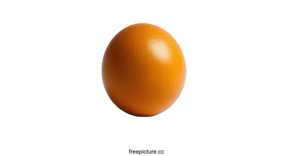 [Transparent Background PNG]Single Brown Egg On White Background