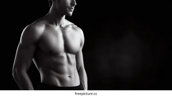 Muscular Male Physique Studio Shot