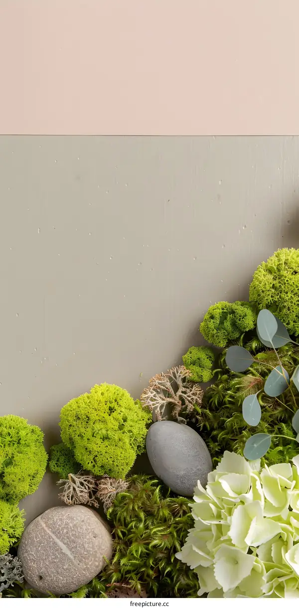 Green Moss Stones and White Flowers on Pale Green and Pink Background