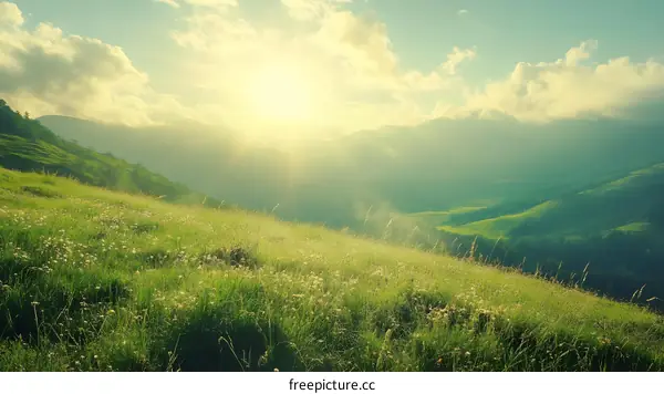 Green Field Meadow Landscape With Mountain Background And Bright Sunset Sky