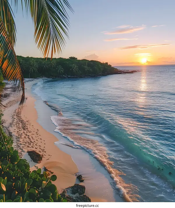Golden Hour Beach Paradise with Palm Tree