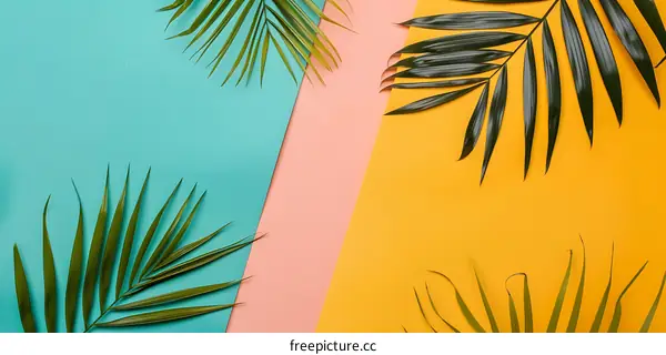 Green Palm Leaves on Colored Paper Background