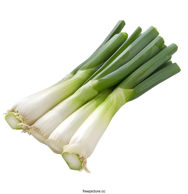 [Transparent Background PNG]Fresh green onions on white background