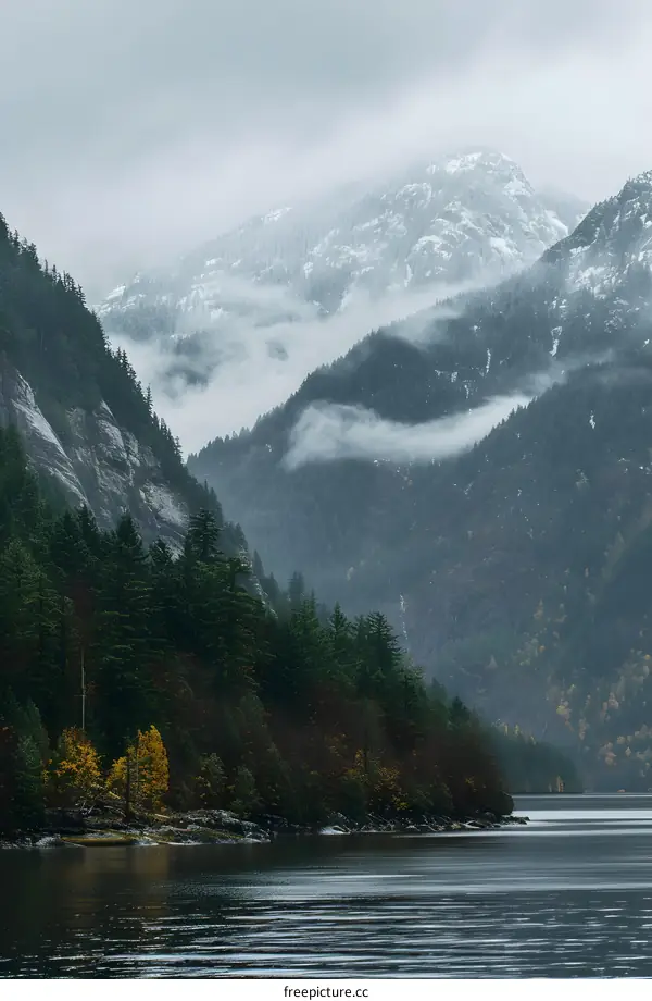Misty Mountains and Green Forest Reflecting on Calm Lake