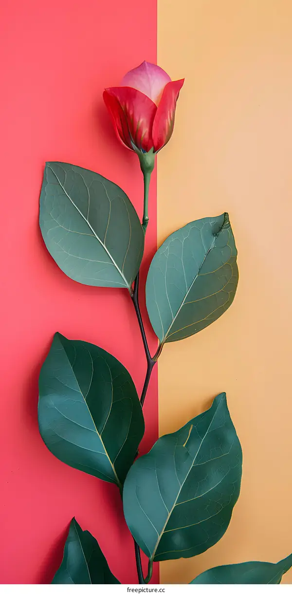 Single Pink Rose with Green Leaves on a Red and Yellow Background