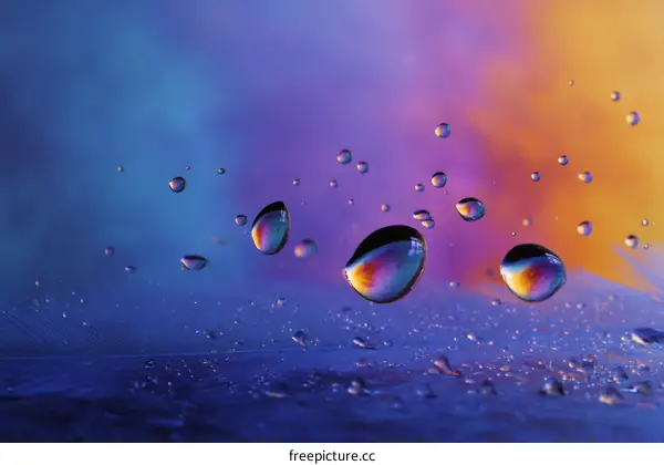 Colorful Water Droplets on a Feather