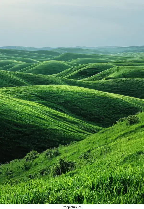 Rolling Green Hills