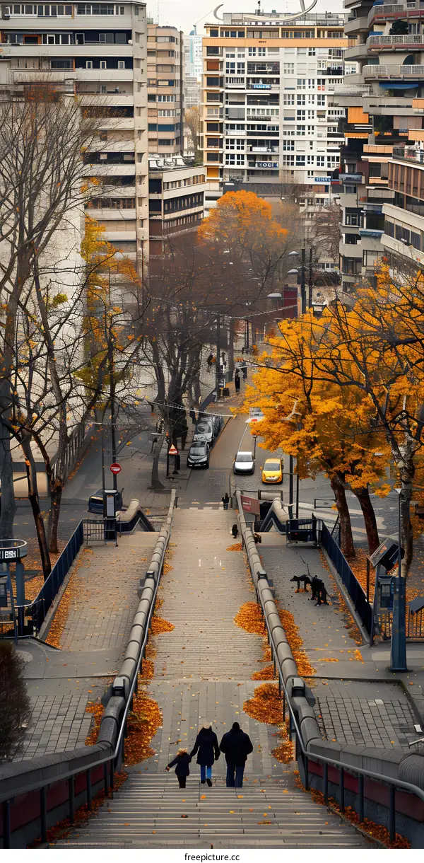 Autumn Leaves On The Stairs In The City