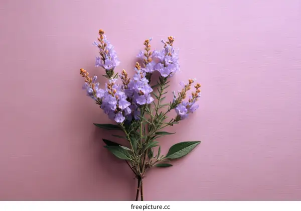 Delicate Purple Flowers on a Pastel Pink Background