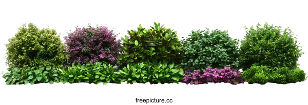 [Transparent Background PNG]Colorful Landscaping Plants Arrangement