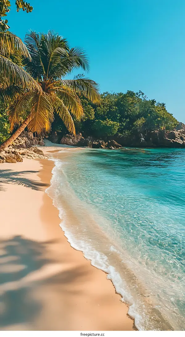 Tropical Beach Paradise Scenic View