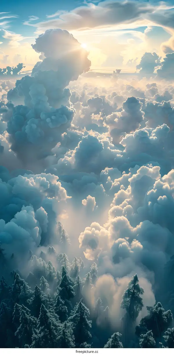 Amazing Forest Above The Clouds