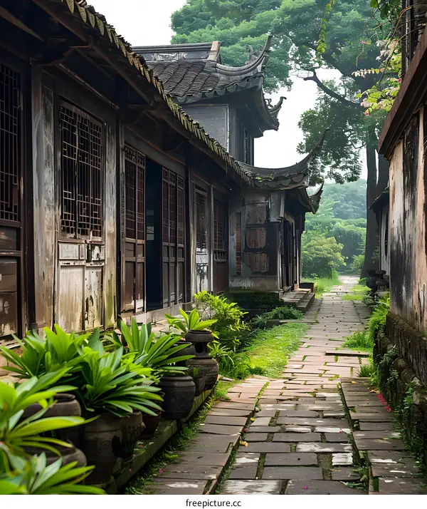 Traditional Chinese Courtyard