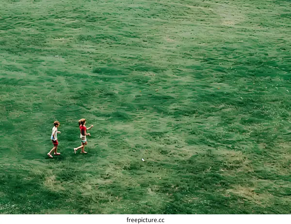Two Kids Playing on Green Grass Field