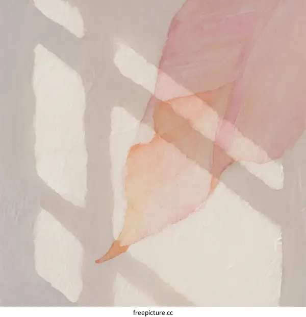 Delicate Pink Leaf with Subtle Shadow Patterns in Soft Light