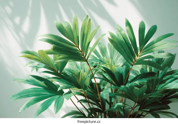 Tropical Palm Leaves in Sunlight
