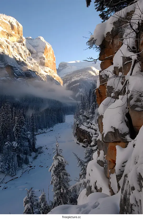 The snow-capped mountains and forests of Canada