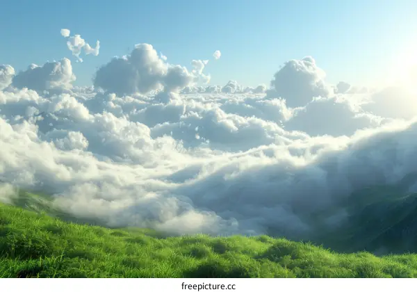 Green Field and White Cloudscape