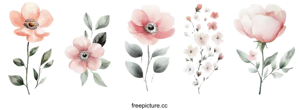 [Transparent Background PNG]Delicate Watercolor Floral Illustration Set