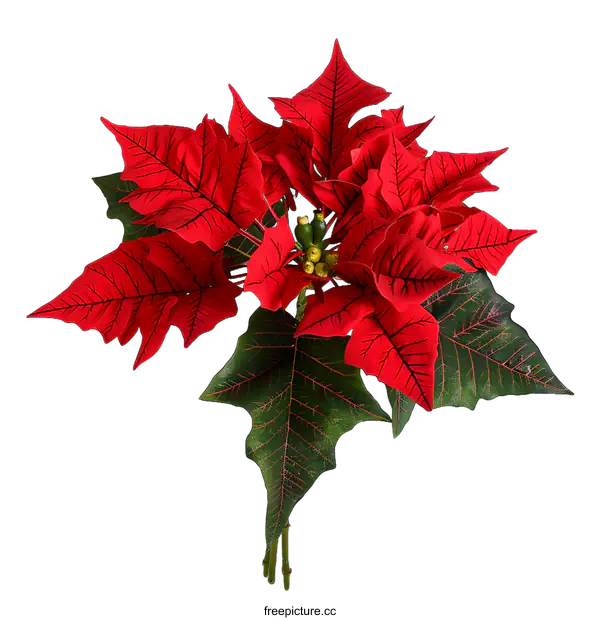 [Transparent Background PNG]Red Poinsettia Flower Bouquet Christmas Decoration