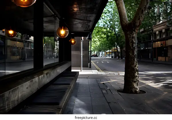 Empty Street With Tree And Bench In Front Of Shop