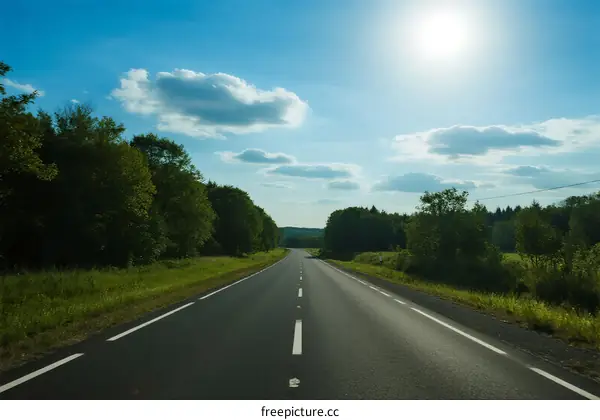 A sunny road with green trees and clear sky